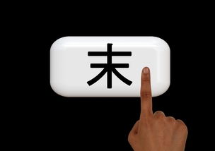 欧义app入口数字钱包详解