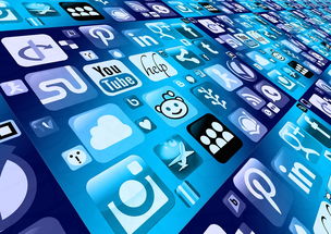 如何查询波卡欧逸Web3 APP及基金会官方消息？安全查询指南