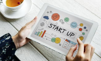 数字矿工的生存指南，如何利用算力监控App提升挖矿效率与收益