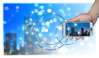 0基础入行欧逸Web3，下载APP入门先学哪种语言？理清路径少走弯路