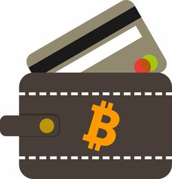 欧义入口钱包的比特币会涨跌吗？