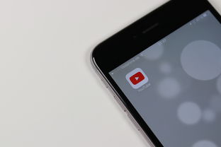 欧逸平台app下载指南，一键开启您的智能服务新体验