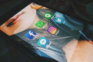 Oyi官网入口钱包APP——便捷金融服务的首选
