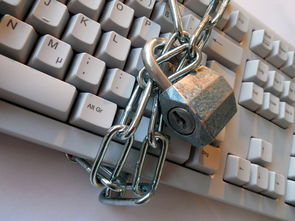 MyEtherWallet有APP吗？官方下载指南与安全避坑全解析