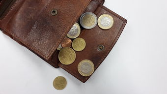 e欧钱包官方网站怎么查 安全访问与防伪指南