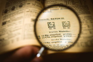 携程上怎么修改oyi币种名字？详细操作流程指南
