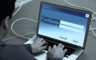 欧亿钱包怎样去查询？掌握正确方法，轻松管理您的账户信息