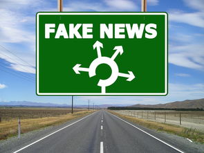 喧嚣过后一地鸡毛，揭秘近年来归零的欧逸虚拟币骗局