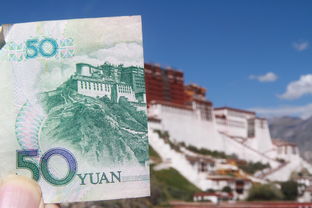 2024年美元兑人民币市场行情回顾与展望，双向波动成常态，韧性凸显预期稳