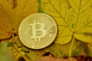 揭秘数字黄金，比特币除了叫 BTC，还有哪些响亮的别称？