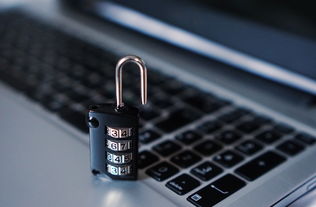 安全下载欧义，官方下载网址解析与使用指南