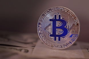 深度解析，福尔币市场行情最新消息与未来展望