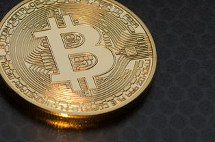 解码未来金融,欧艺币种入口与未来货币的无限可能 解码未来金融,欧艺币种入口与未来货币的无限可能