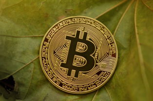 十月虚拟币行情怎么样？深度复盘与未来展望