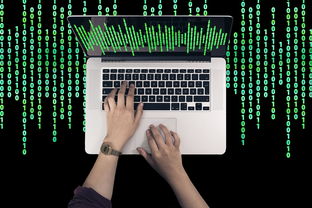 欧义入口是否支持冷钱包？数字资产安全存储的深度解析