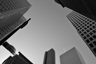 欧洲艺术数字革命，掘金未来暴涨的欧艺币种三大入口