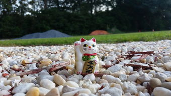 人民币即时行情走势图，洞察汇率动态，把握市场脉搏