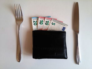 艺欧属于什么钱包