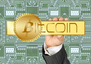 比特币兑美金价格行情深度解析，动态追踪、影响因子与趋势预判