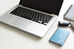 oyi官网入口钱包怎么一键发币详细教程