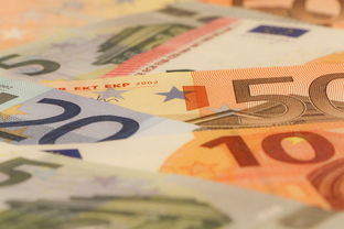 针对蛇钞币今日行情价目表这类内容，需要明确说明，纪念钞的市场行情实时波动，且受品相、冠号、交易渠道等多重因素影响，不存在固定统一的今日统一价目表，随意编造行情数据会误导收藏爱好者，甚至带来投资风险