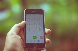 欧艺软件苹果下载教程，iOS用户安装全指南