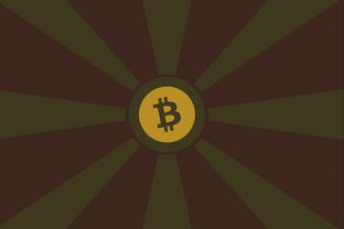 需要提醒的是，派币（Pi Network）并非官方认可的加密货币，其所谓的价格行情并无正规市场依据，且相关项目存在较大的金融风险和合规隐患