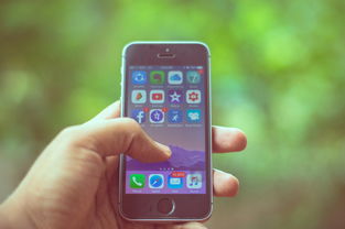 欧艺下载 iOS 全攻略，iPhone 用户安全安装指南
