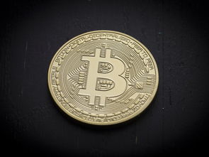 btc比特币欧义下载入口oe下载bitcoin